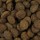 CARNILOVE Trockenfutter TRUE FRESH Senior/Healthy Weight Chicken f. Hunde 11,4kg