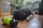 HOLLAND ANIMAL CARE Futterrolle Eat Slow Feed & Treat Grün für Hunde Katzen