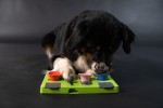 HOFMAN ANIMAL CARE Beschäftigung Eat Slow Live Longer PUZZLE f. Hunde Rectangle