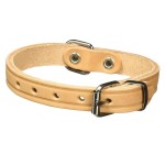 TRIXIE Halsband Basic XS-L Leder natur für Hunde