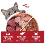 SANABELLE Nassfutter Filets in Soße RIND und PUTE getreidefrei für Katzen