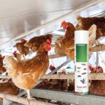 RÖHNFRIED Hygiene APARASIT 750ml für effektiven...