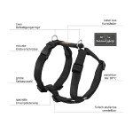 KOCH Geschirr Premium NYLONGESCHIRR UNI gepolstert petrol für Hunde 50-72cm 20mm