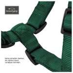 KOCH Geschirr NYLON-GESCHIRR mit Kennfäden 15mm 31-37cm XXS gepolstert für Hunde