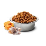 FARMINA Trockenfutter N&D Pumpkin HIRSCH KÜRBIS adult getreidefrei für Katzen