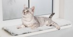 TRIXIE Liegematte HARVEY für Fensterbank Langhaar 90...