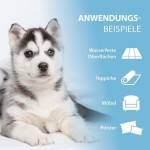ARKA Hygiene PIPI-WEG Flecken- & Geruchsentferner 750ml für Heimtiere
