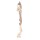 FLAMINGO Spielzeug WIGRI BÄR Seil beige Kanevas 36cm Knistergeräusch für Hunde