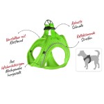 FLAMINGO Geschirr STEP&GO BENTO Grau mit...