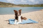 TRIXIE Liegedecke Reisedecke SAMOA Classic für Kühlmatte eisblau/grau für Hunde