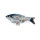 HOFMAN ANIMAL CARE Aktivspielzeug Robocat Fish Karpfen 30cm für Katzen