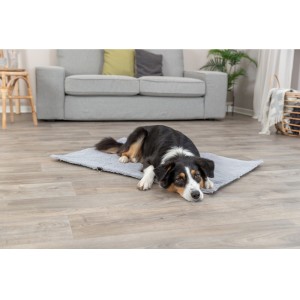 TRIXIE Liegedecke Reisedecke AMY Plüsch/Nylon-Haptik grau für Hunde