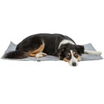 TRIXIE Liegedecke Reisedecke AMY Plüsch/Nylon-Haptik grau für Hunde