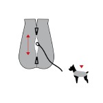 DOGBITE Hunderegenjacke FLEXIBLE SYSTEM Reißverschlusssystem Rücken Grün