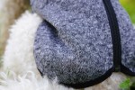 DOGBITE Hundepullover FLEXIBLE SYSTEM SWEATER Rückenreißverschluss