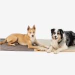 KNAUDERS BEST Liegedecke Easy Travel Pad 100/200 cm x...