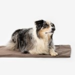 KNAUDERS BEST Liegedecke Easy Travel Pad 100/200 cm x 70cm Polyester für Hunde