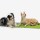 KNAUDERS BEST Liegedecke Easy Travel Pad 100/200 cm x 70cm Polyester für Hunde