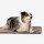 KNAUDERS BEST Liegedecke Easy Travel Pad 100/200 cm x 70cm Polyester für Hunde