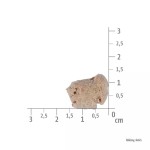 BRIT Hundesnack CARE DOG RAW TREAT 40g gefriergetrocknet Lamb Chicken - Immunity