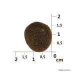 CARNILOVE Trockenfutter TRUE FRESH Junior Large Breed...
