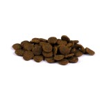 CARNILOVE Trockenfutter TRUE FRESH Junior Large Breed Fresh Chicken für Hunde