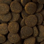 CARNILOVE Trockenfutter TRUE FRESH Junior Large Breed Fresh Chicken für Hunde