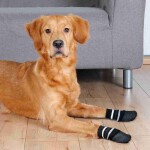 TRIXIE Socken Anti-Rutsch XS-XL Baumwolle/Latex 2...