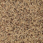 DELI NATURE Futter Kanarien Premium für Ziervögel