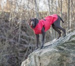TRIXIE Regenmantel VIMY rot wasserdichte Reißverschlüsse für Hunde