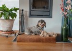 HOFMAN ANIMAL CARE Hundematte Lets Sleep Mellow Mattress orthopädisch Cognac