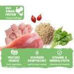 BOSCH Nassfutter FRESHE SCHNAUZE 250g für Hunde Pute mit Quinoa & Spinat