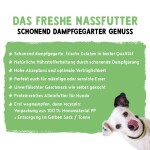 BOSCH Nassfutter FRESHE SCHNAUZE 250g für Hunde Pute mit Quinoa & Spinat
