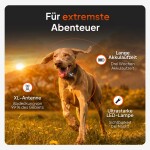 WEENECT Sicherheit GPS-Tracker-Halsband XT längere Akkulaufzeit Live Tracking für Hunde