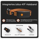 WEENECT Sicherheit GPS-Tracker-Halsband XT längere Akkulaufzeit Live Tracking für Hunde