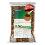 RÖHNFRIED Einzelfuttermittel schwarze Soldatenfliegenlarven für Geflügel