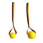 futterscheune.live® Hundespielzeug SCHAUMSTOFFBALL...