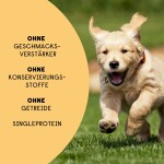 HANFRED Snack Nahrungsergänzung HANF 3% SOS JUNIOR Relax Huhn 40g für Hunde