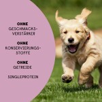 HANFRED Snack Nahrungsergänzung HANF 3% SOS JUNIOR Relax Lamm 40g für Hunde