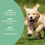HANFRED Snack Nahrungsergänzung HANF 3% SOS JUNIOR Darmbalance Pferd 40g für Hunde