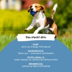 HANFRED Nahrungsergänzung SOS Athro Gelenk-Fit Pulver 65g für Hunde
