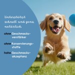 HANFRED Nahrungsergänzung SOS Athro Gelenk-Fit Pulver 65g für Hunde