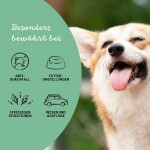 HANFRED Nahrungsergänzung SOS Balance+ Pulver 65g für Hunde