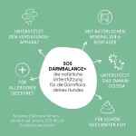 HANFRED Nahrungsergänzung SOS Balance+ Pulver 65g für Hunde
