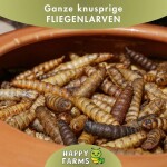 HAPPY FARMS Einzelfuttermittel knusprige SOLDATENFLIEGENLARVEN hohe Qualität