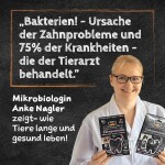 QCHEFS Ergänzungsfuttermittel ZAHNPUTZKOHLE 80g Zähne sauber & Darm gesund Hund