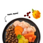 BOSCH softes Alleinfutter SANABELLE JUICY Nordsee-Lachs...