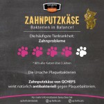 QCHEFS Ergänzungsfuttermittel ZAHNPUTZKOHLE 70g gegen Zahnstein für Katzen