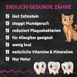 QCHEFS Ergänzungsfuttermittel ZAHNPUTZKOHLE 70g gegen Zahnstein für Katzen