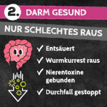 QCHEFS Ergänzungsfuttermittel ZAHNPUTZKOHLE 70g gegen Zahnstein für Katzen